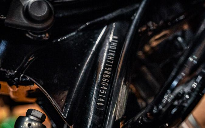 2024 Harley-Davidson Road Glide