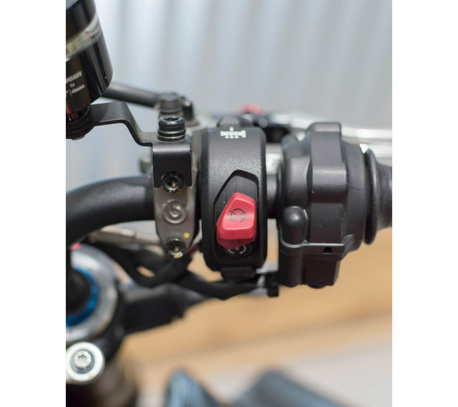 2022 Ducati Streetfighter V4 STO