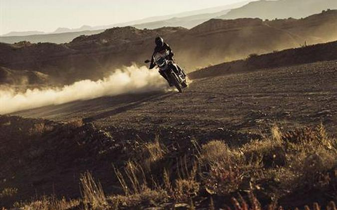 2025 Triumph Tiger 900 Rally Pro