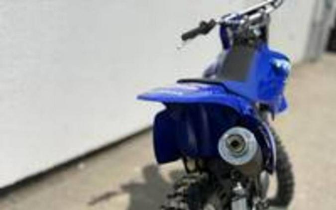2027 Yamaha TTR230V1