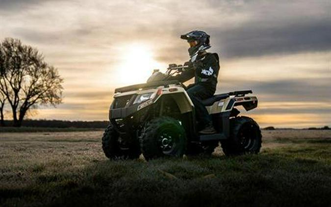 2022 Arctic Cat Alterra 300