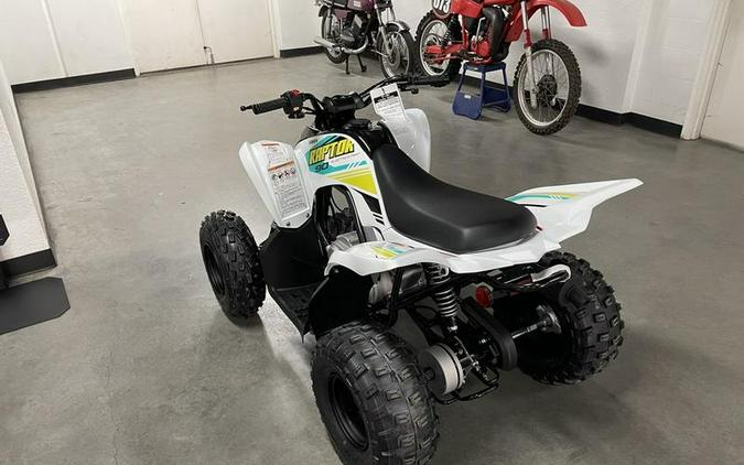 2023 Yamaha Raptor 90