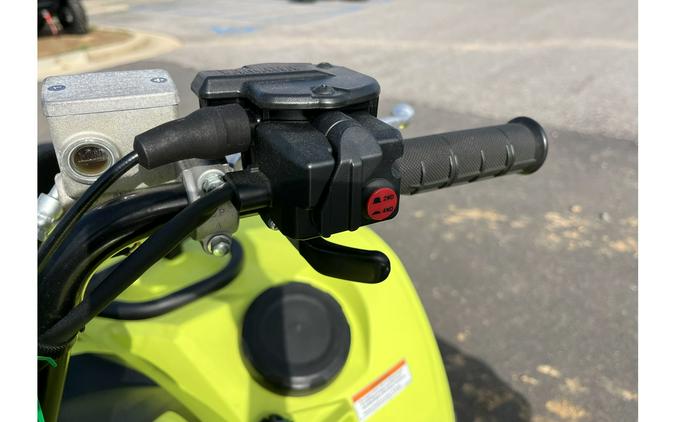 2023 Grizzly EPS - Yamaha