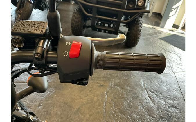 2026 W175 LTD ABS - Kawasaki
