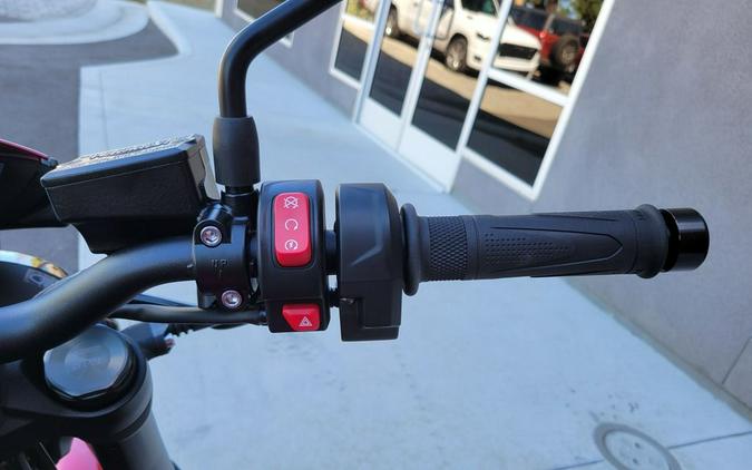 2026 Triumph TRIDENT 800