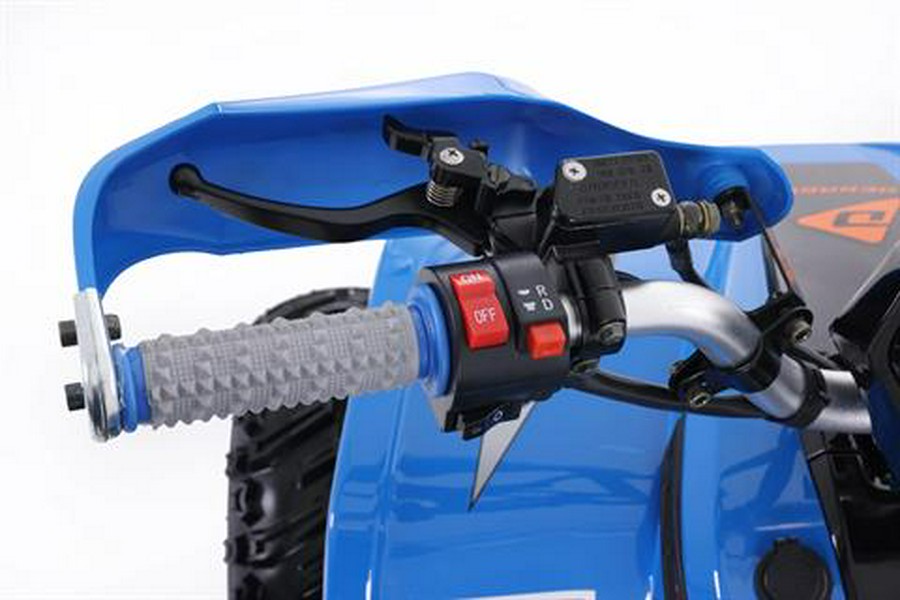 2026 Denago Powersports E-Hawk 6