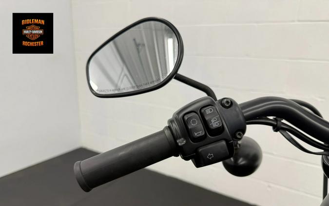 2022 Harley-Davidson Iron 883™