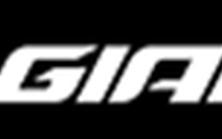 2026 Kawasaki Z125 Pro