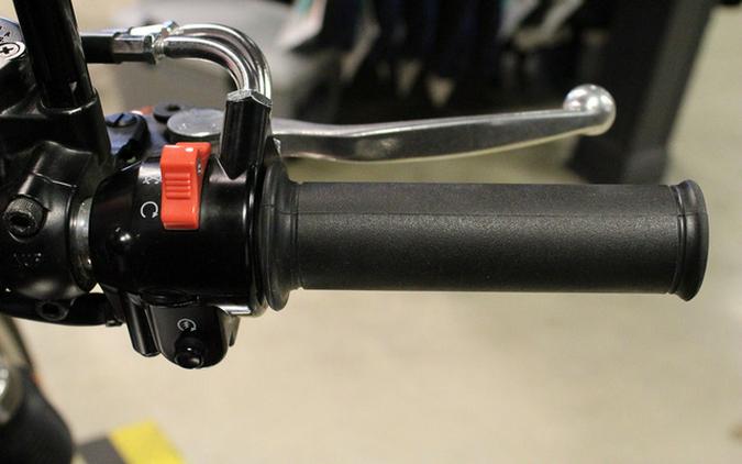 2020 Kawasaki W800 Cafe