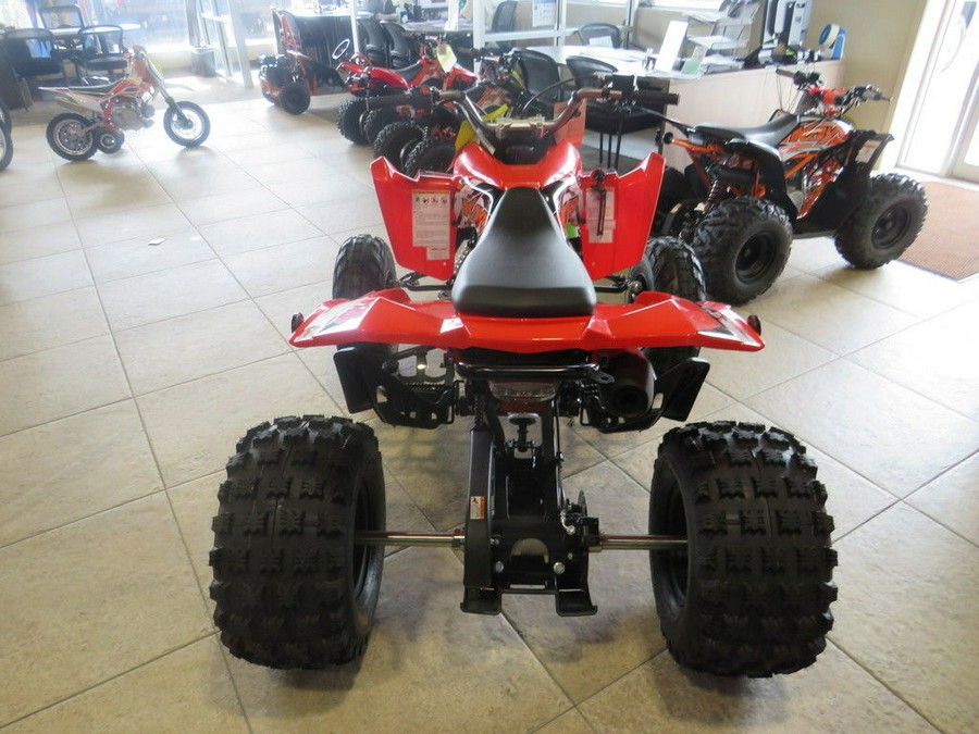 2026 Kayo Storm 300 EFI