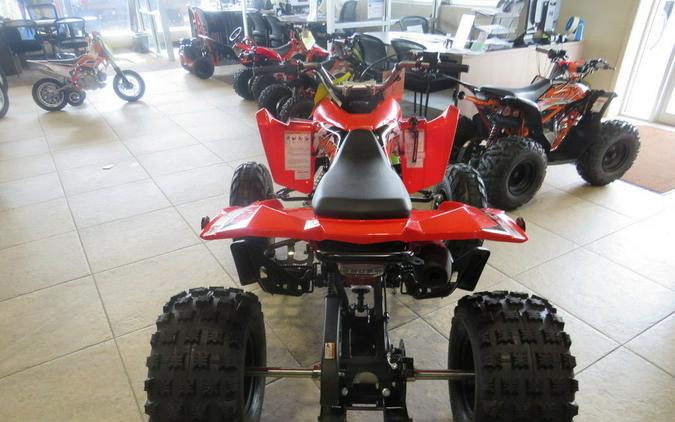 2026 Kayo Storm 300 EFI