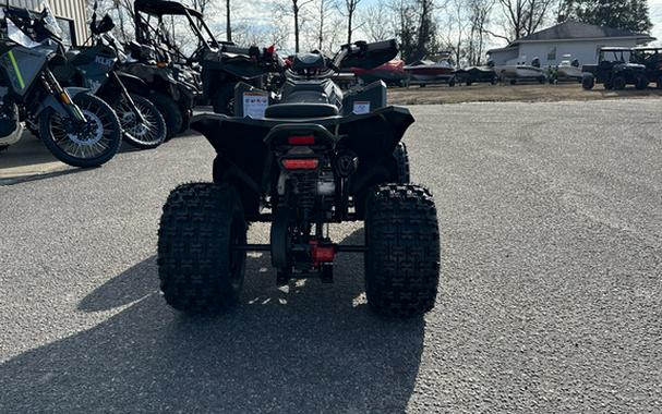 2026 Denago Powersports Trailhawk 10FI