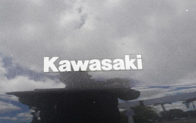 2024 Kawasaki Teryx4™ S SE