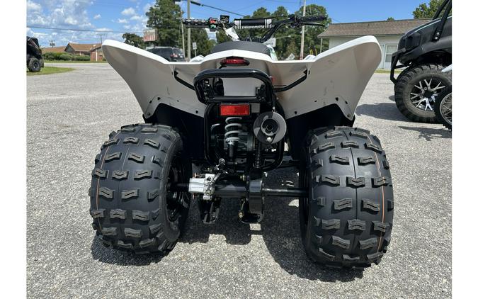 2026 Kawasaki KFX 90