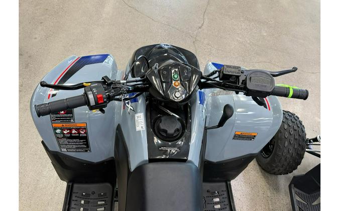 2026 Polaris 2026 POLARIS Phoenix 200 - Storm Gray