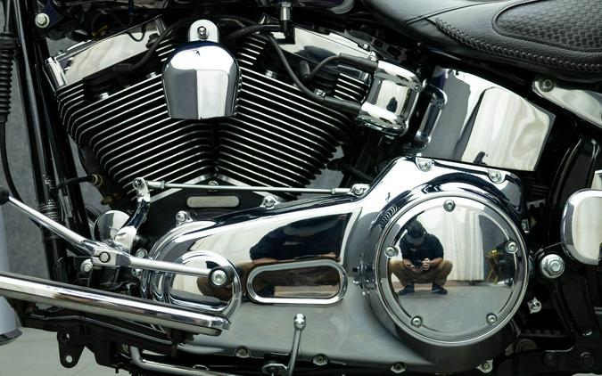 2010 HARLEY DAVIDSON FLSTN SOFTAIL DELUXE