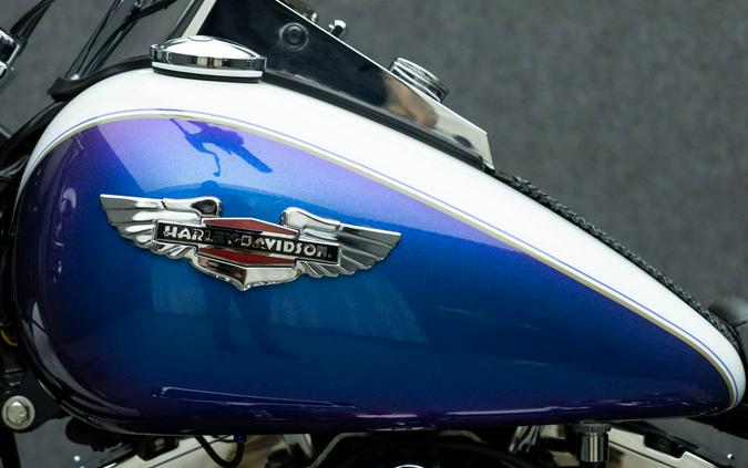 2010 HARLEY DAVIDSON FLSTN SOFTAIL DELUXE