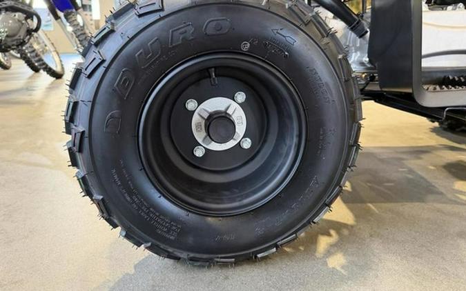 2026 Yamaha Raptor 110