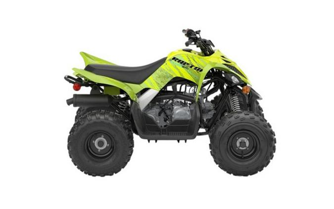 2026 Yamaha Raptor 110