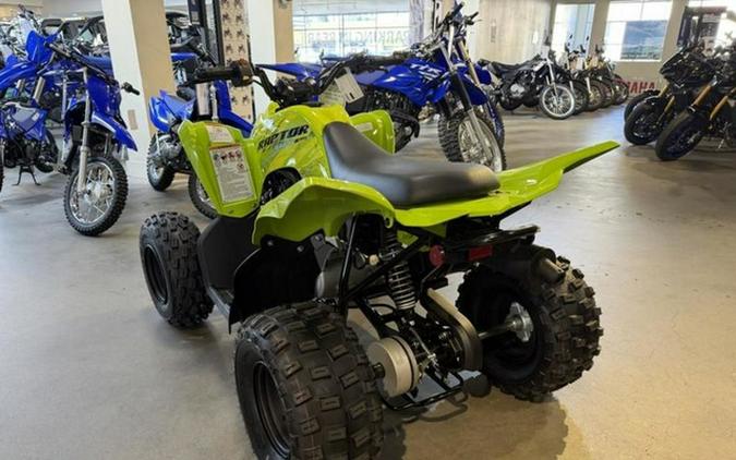2026 Yamaha Raptor 110