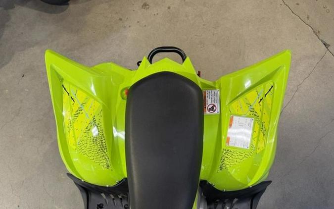 2026 Yamaha Raptor 110