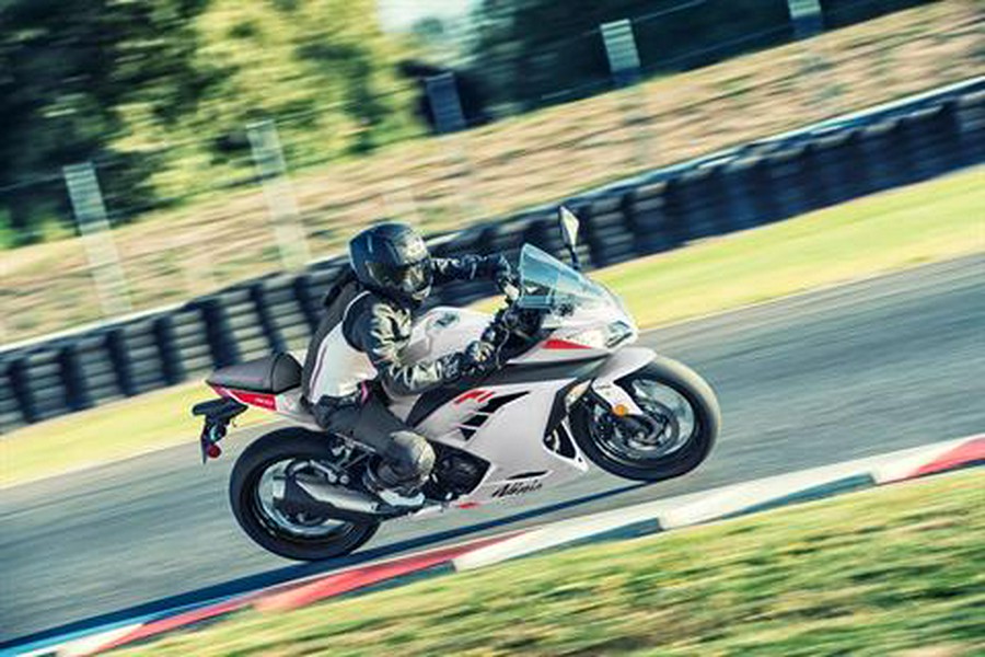 2026 Kawasaki Ninja® 300 ABS