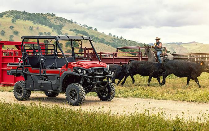 2025 Kawasaki MULE PRO-FXT 1000 LE