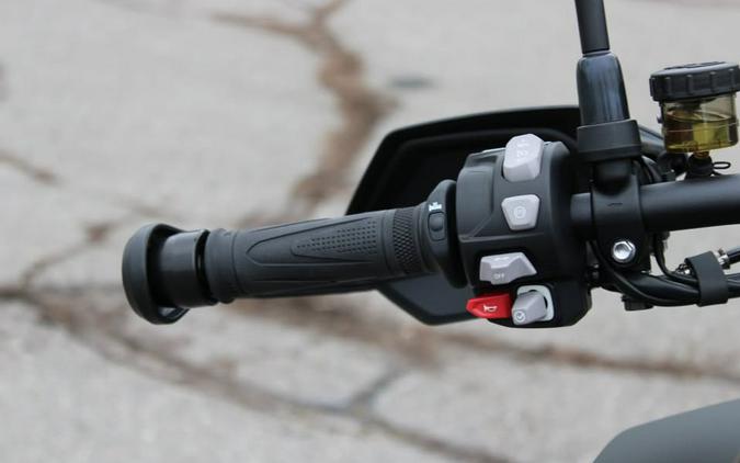 2025 TRIUMPH TIGER 1200 RALLY PRO