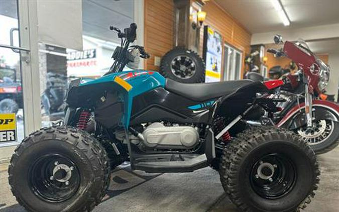 2024 Can-Am Renegade 110 EFI