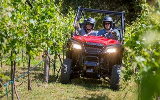 2016 Honda Pioneer 500