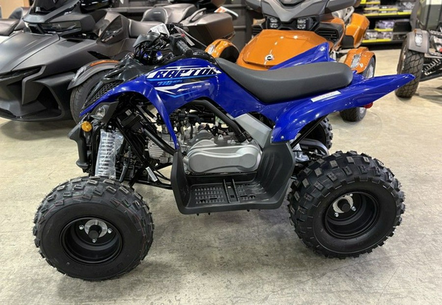 2026 Yamaha Raptor 110