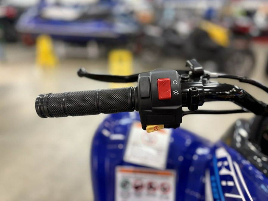 2026 Yamaha Raptor 110