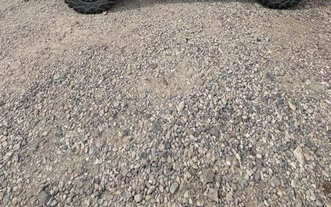 2019 Yamaha Wolverine X4 SE