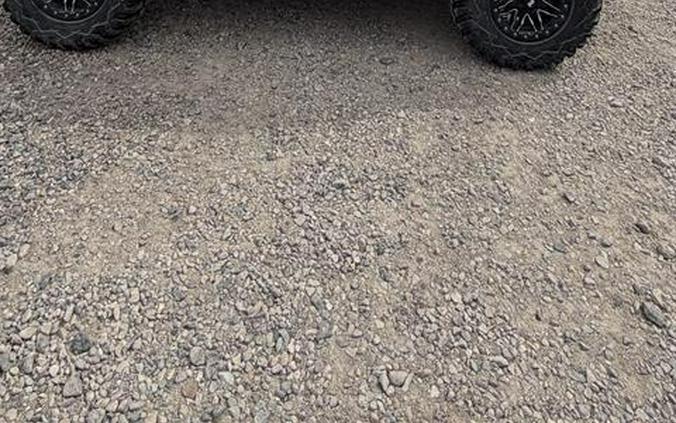 2019 Yamaha Wolverine X4 SE