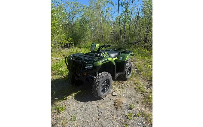 2020 Honda FourTrax Foreman Rubicon 4x4 Auto DCT EPS Deluxe