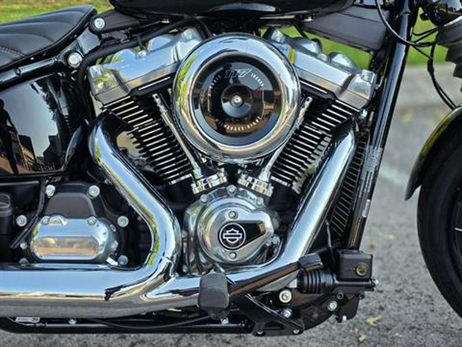 2025 Harley-Davidson Street Bob®