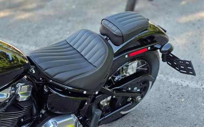 2025 Harley-Davidson Street Bob®
