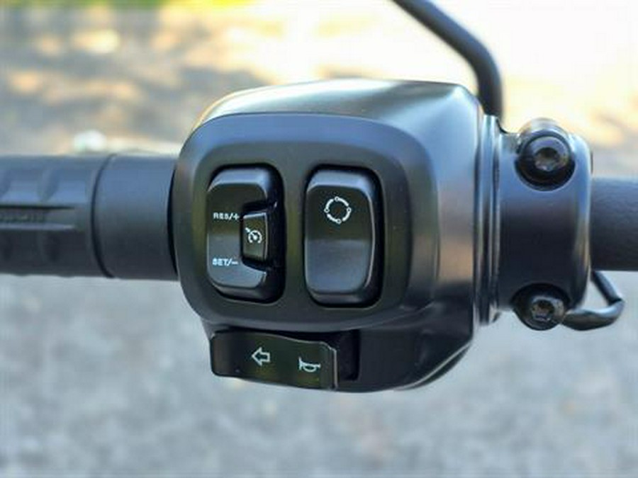 2025 Harley-Davidson Street Bob®