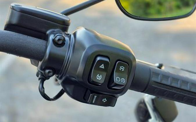 2025 Harley-Davidson Street Bob®