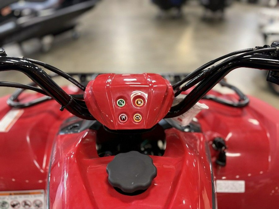 2025 Yamaha Grizzly 110