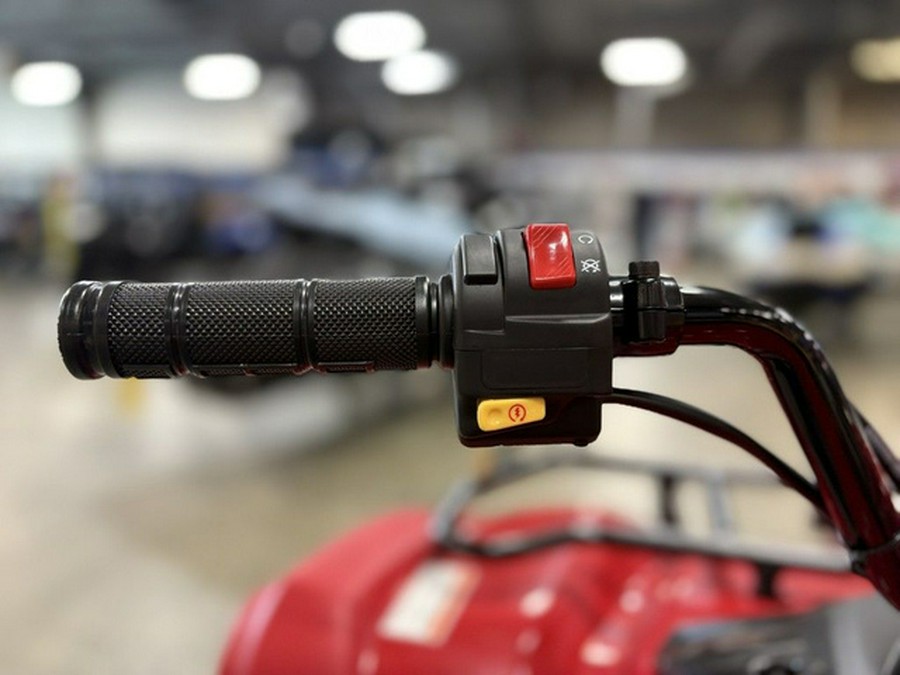 2025 Yamaha Grizzly 110