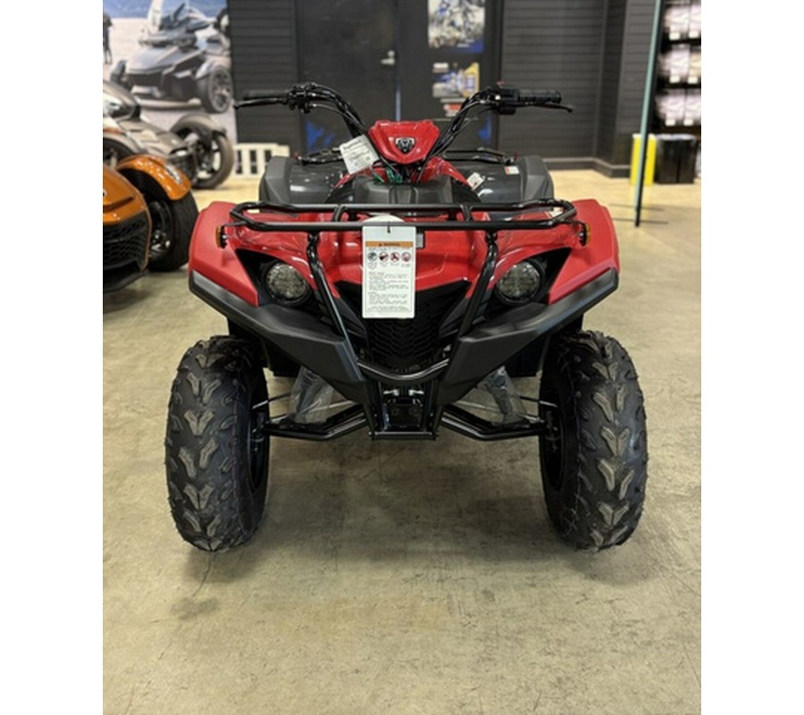 2025 Yamaha Grizzly 110