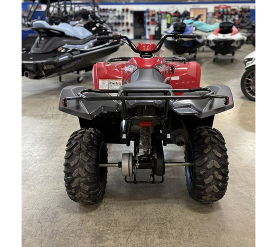 2025 Yamaha Grizzly 110