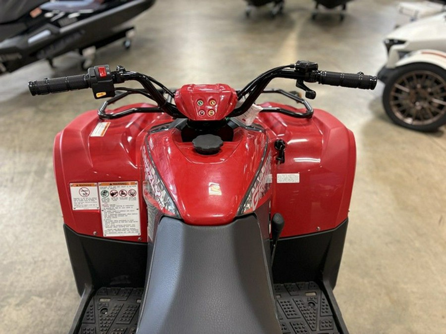 2025 Yamaha Grizzly 110