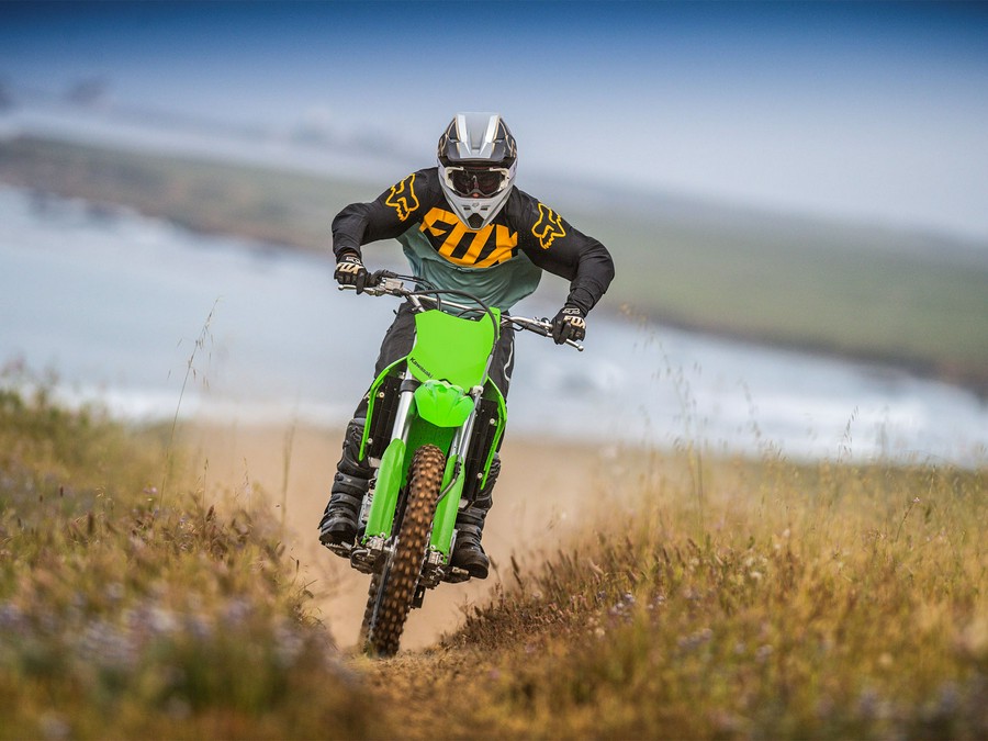 2024 Kawasaki KLX 300R