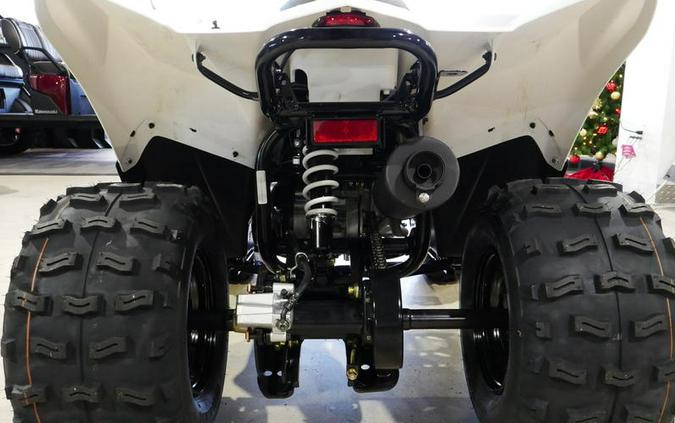 2026 Kawasaki KFX®90