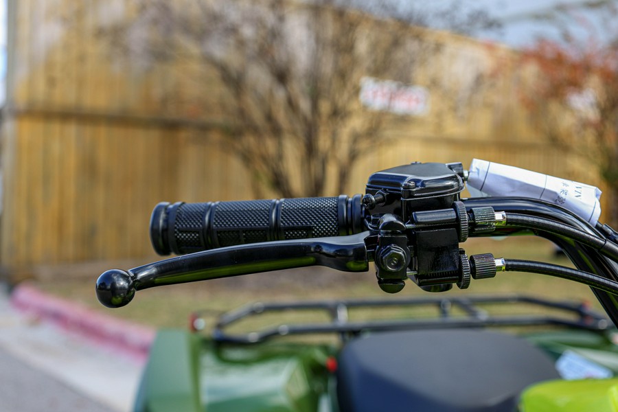 2026 YAMAHA GRIZZLY 110