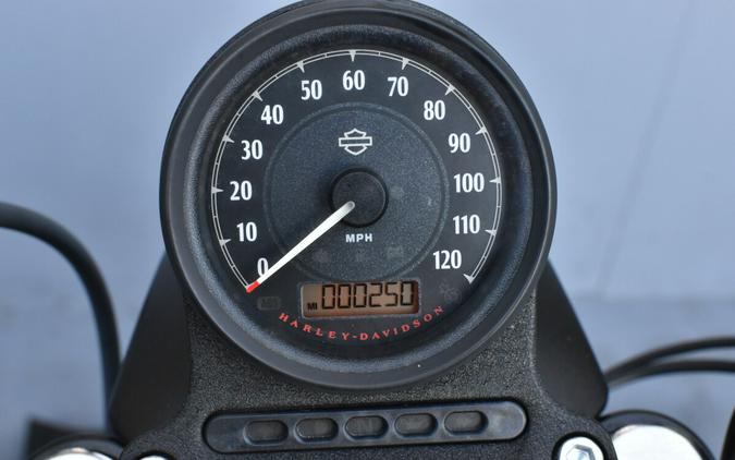 2022 Harley-Davidson Iron 883