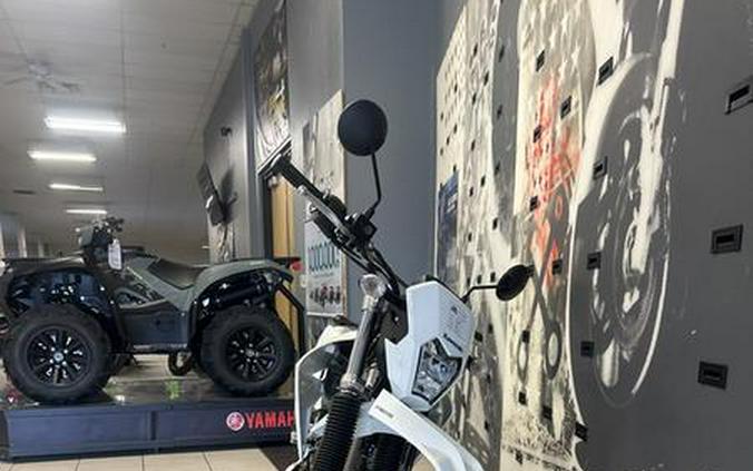 2026 Kawasaki KLX®230 S ABS