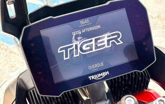 2024 Triumph Tiger 900 GT Aragon Edition